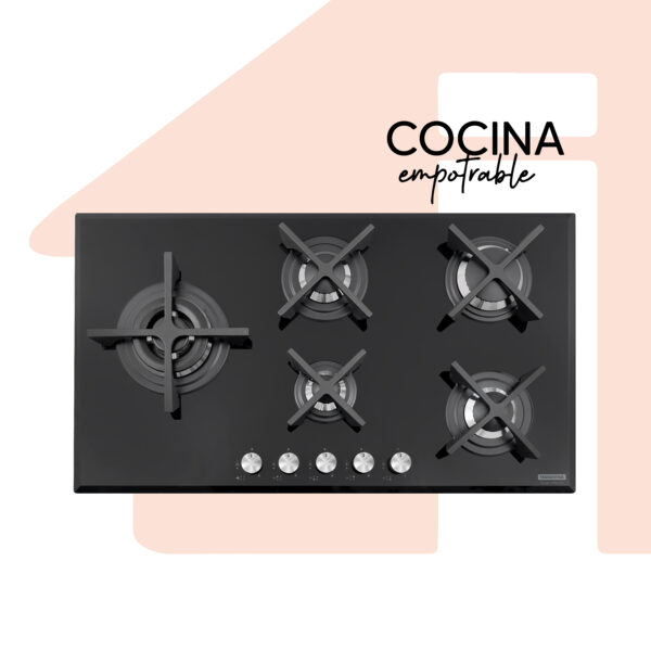 COCINA EMPOTRABLE GAS PENTAFLAT 5 HORNILLAS 94731/104